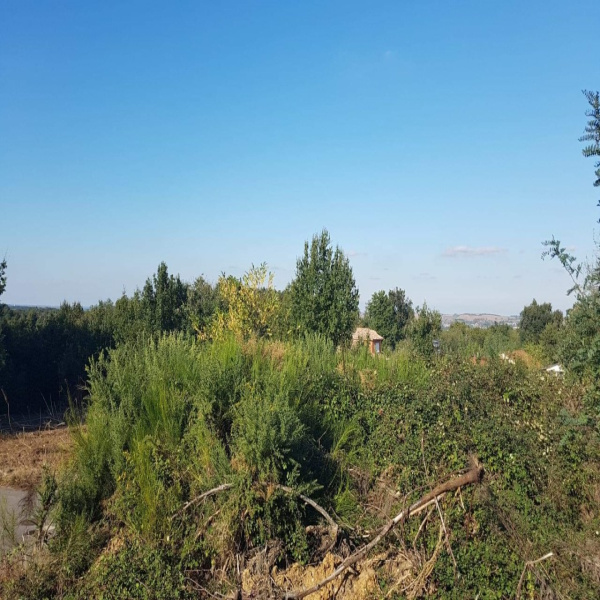 Offres de vente Terrain Miremont 31190