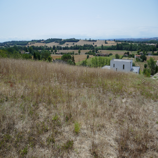 Offres de vente Terrain Venerque 31810